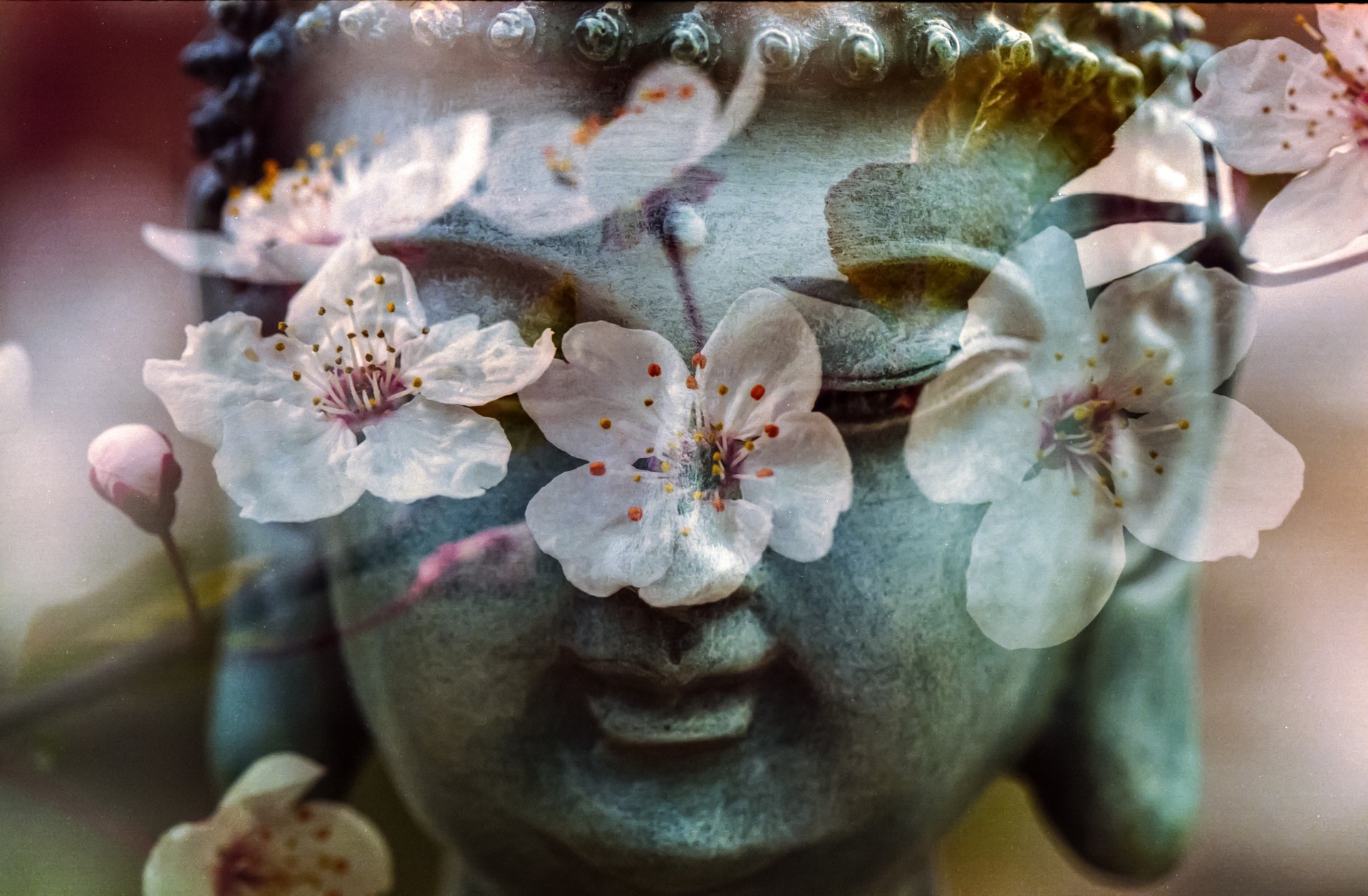 buddha-1279902_1920